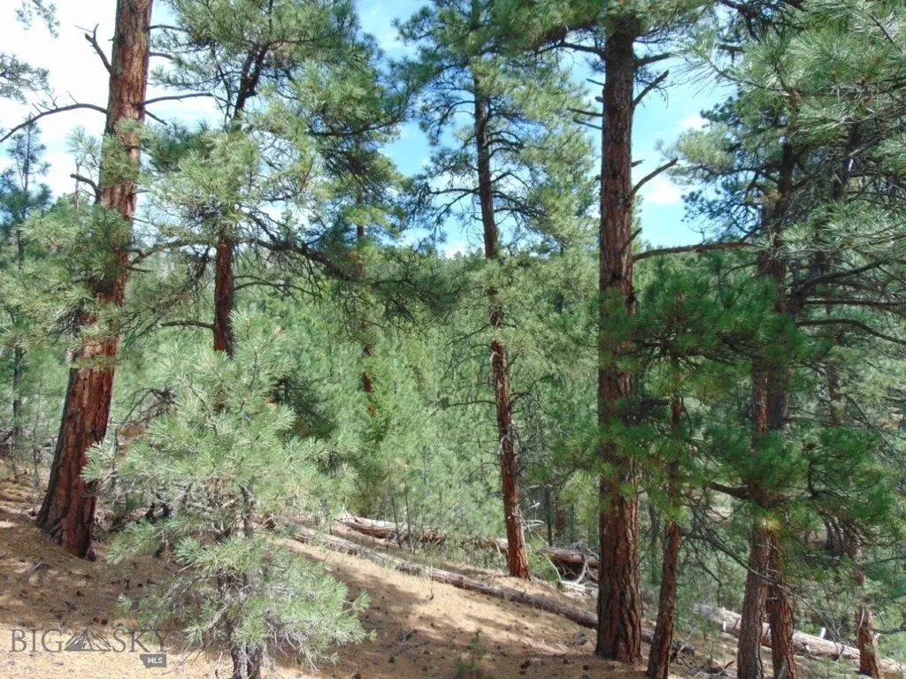19 Lookout Lane Cascade MT 59421