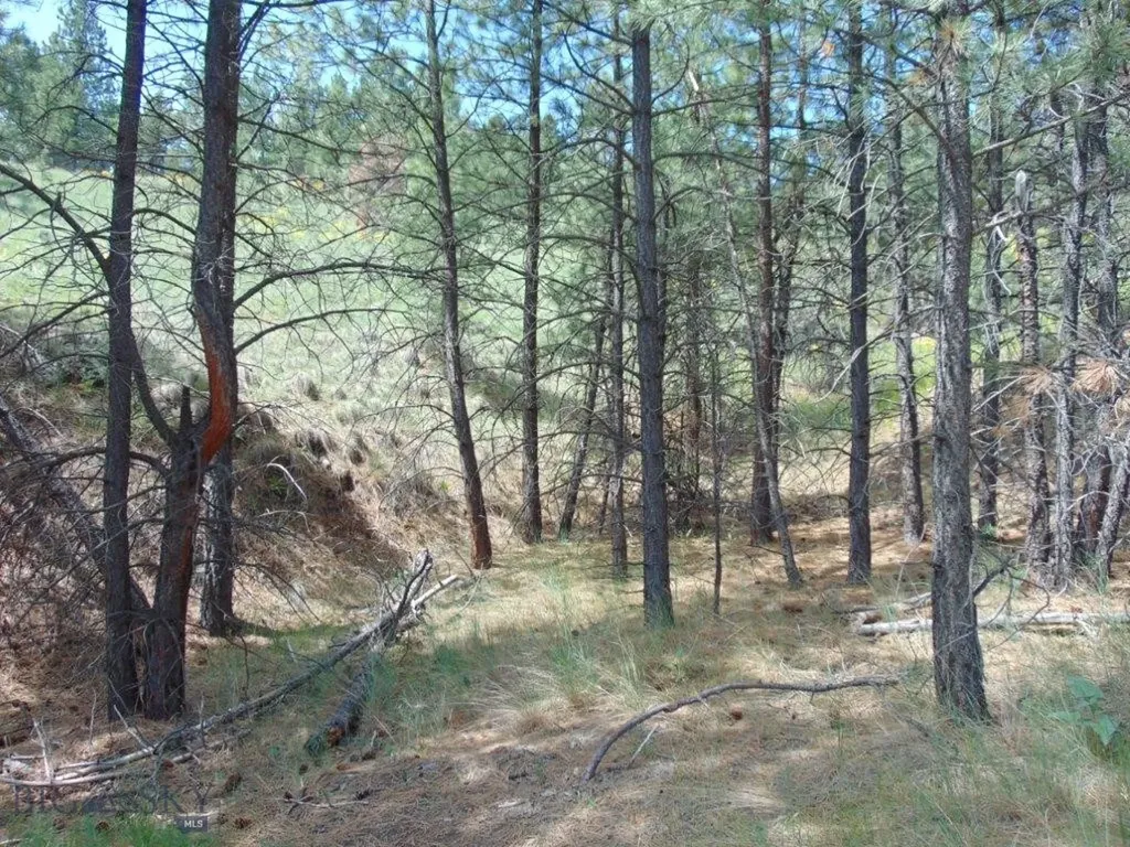 19 Lookout Lane Cascade MT 59421