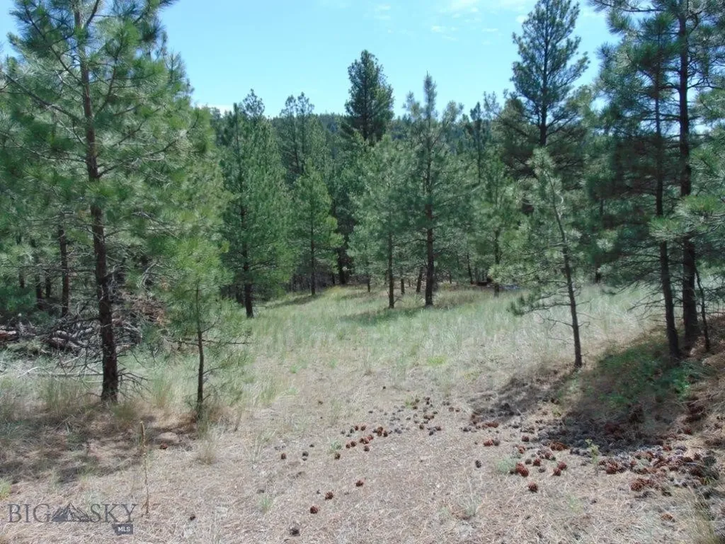 19 Lookout Lane Cascade MT 59421