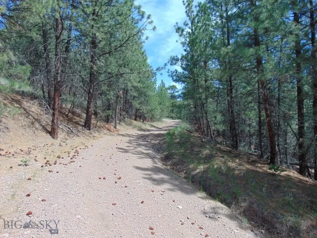 19 Lookout Lane Cascade MT 59421