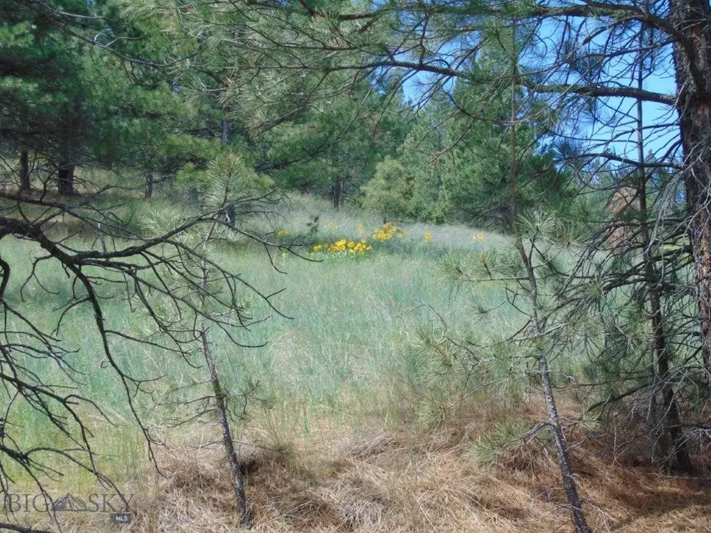 19 Lookout Lane Cascade MT 59421