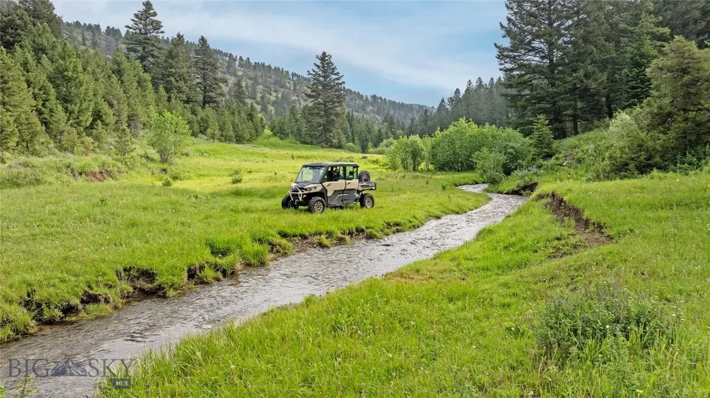 Tbd Willow Creek N Fork Road Livingston MT 59047