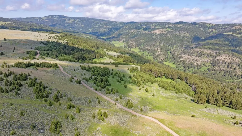Tbd Willow Creek N Fork Road Livingston MT 59047