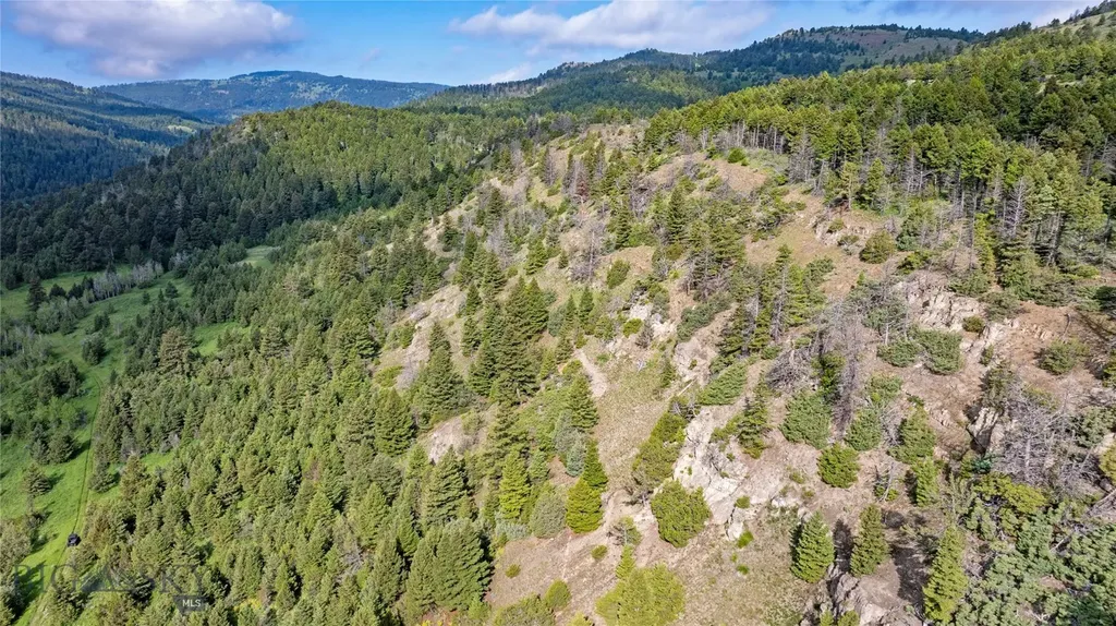 Tbd Willow Creek N Fork Road Livingston MT 59047