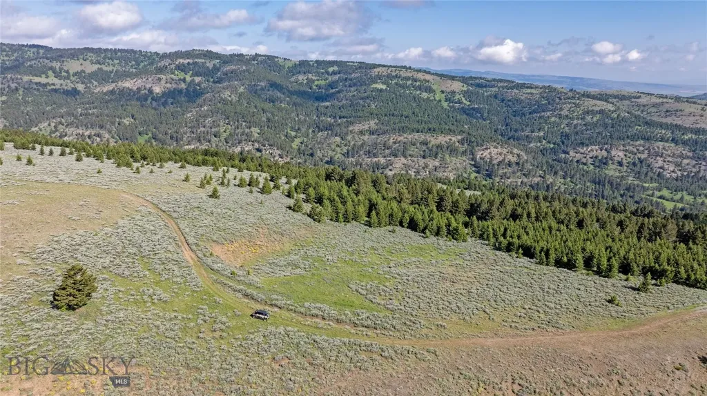 Tbd Willow Creek N Fork Road Livingston MT 59047