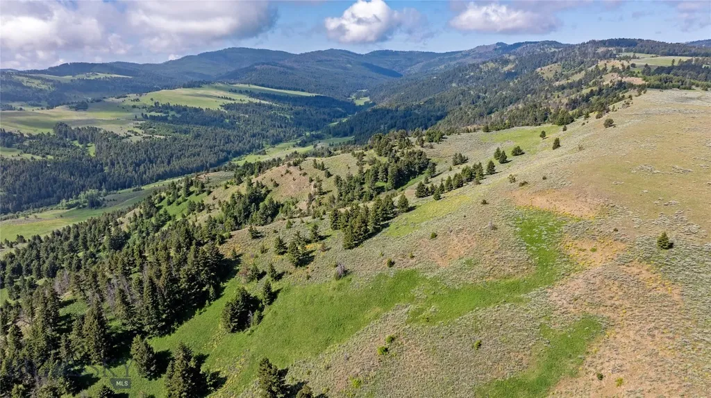 Tbd Willow Creek N Fork Road Livingston MT 59047