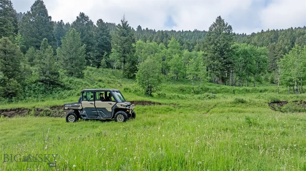 Tbd Willow Creek N Fork Road Livingston MT 59047