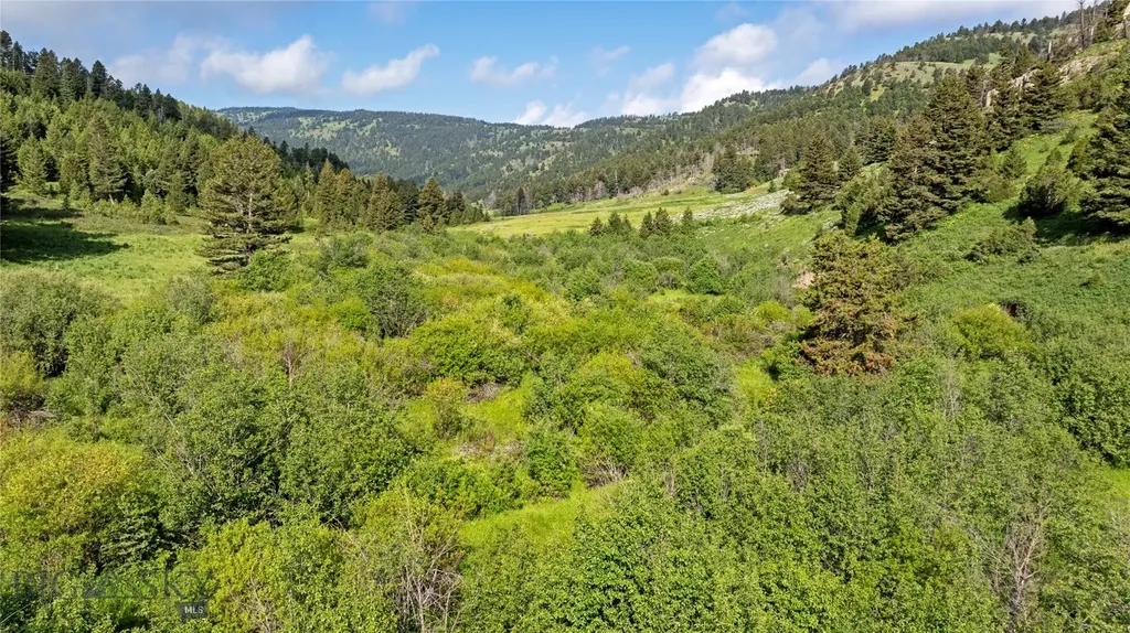 Tbd Willow Creek N Fork Road Livingston MT 59047