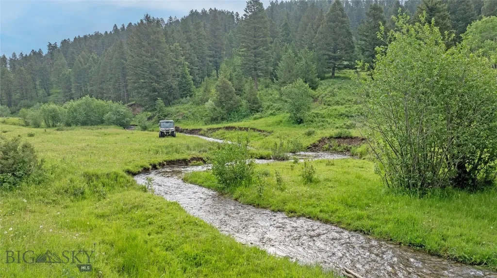 Tbd Willow Creek N Fork Road Livingston MT 59047