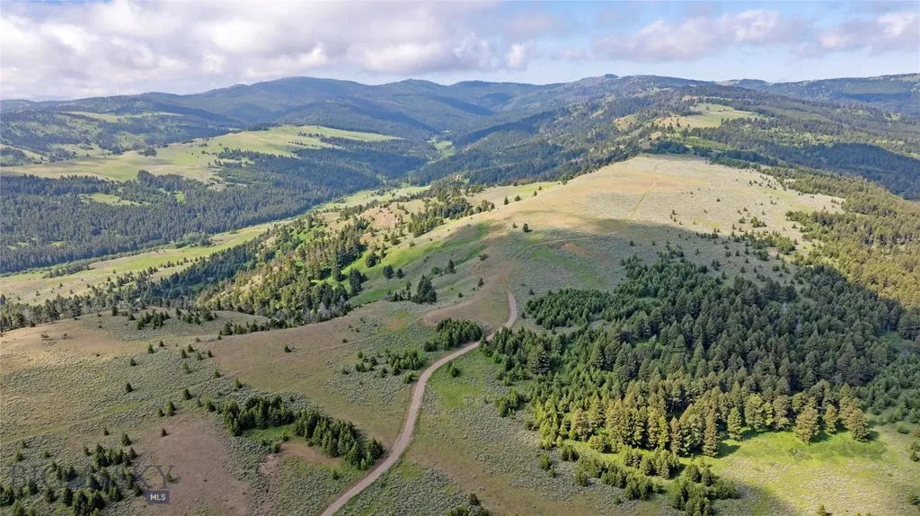 Tbd Willow Creek N Fork Road Livingston MT 59047