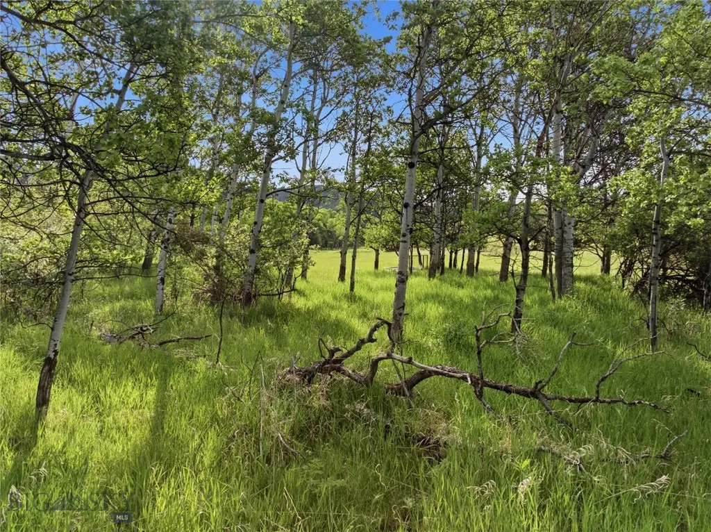 Tbd E Panorama Drive Bozeman MT 59715