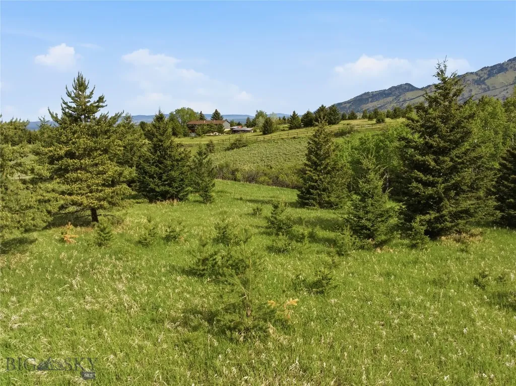 Tbd E Panorama Drive Bozeman MT 59715