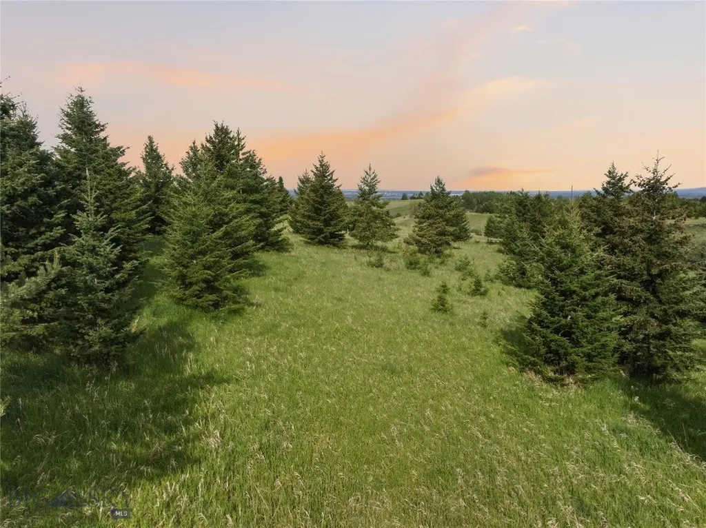 Tbd E Panorama Drive Bozeman MT 59715