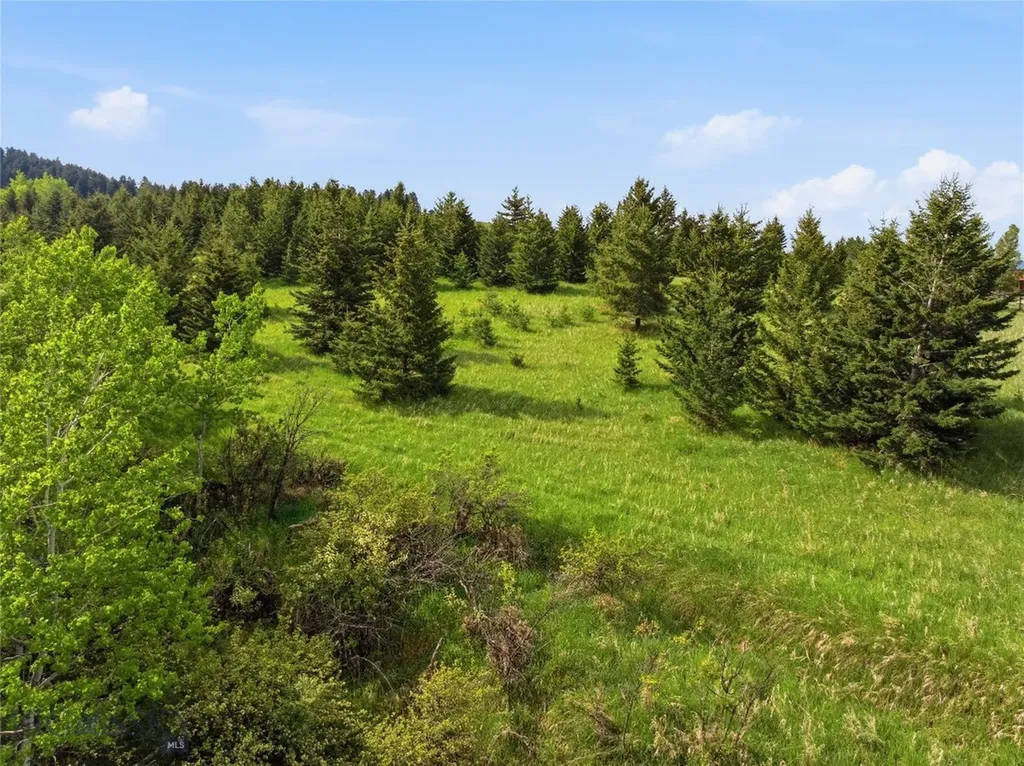 Tbd E Panorama Drive Bozeman MT 59715