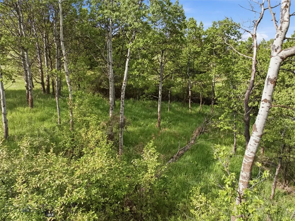 Tbd E Panorama Drive Bozeman MT 59715