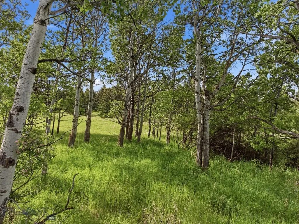 Tbd E Panorama Drive Bozeman MT 59715