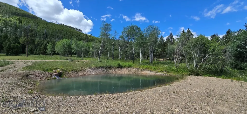 8 Tract, Hall Creek Helmville MT 59843