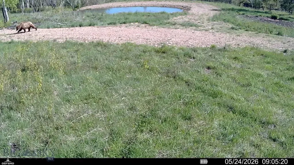 8 Tract, Hall Creek Helmville MT 59843