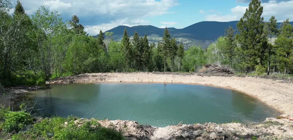 8 Tract, Hall Creek Helmville MT 59843
