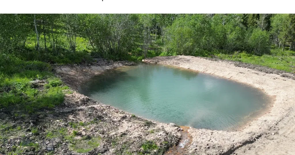 8 Tract, Hall Creek Helmville MT 59843