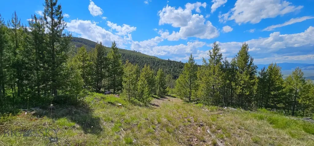 8 Tract, Hall Creek Helmville MT 59843
