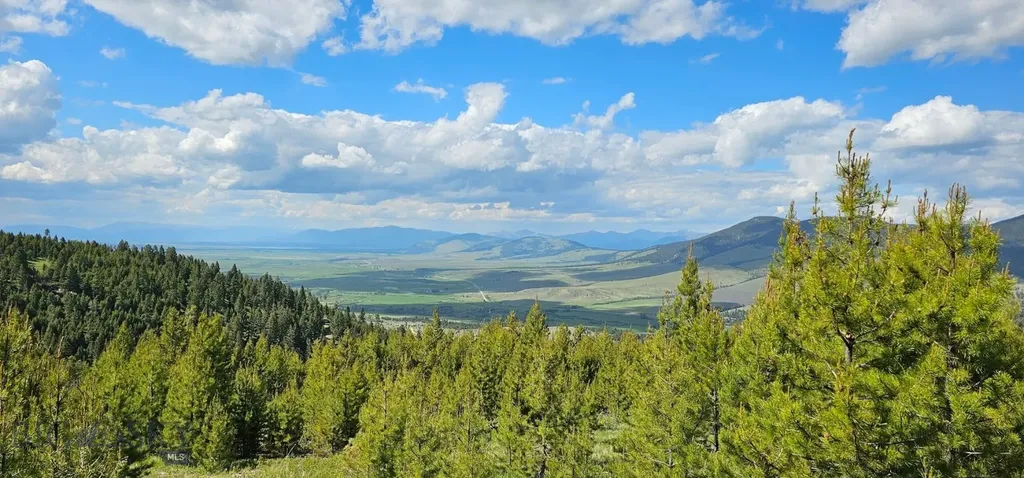 8 Tract, Hall Creek Helmville MT 59843