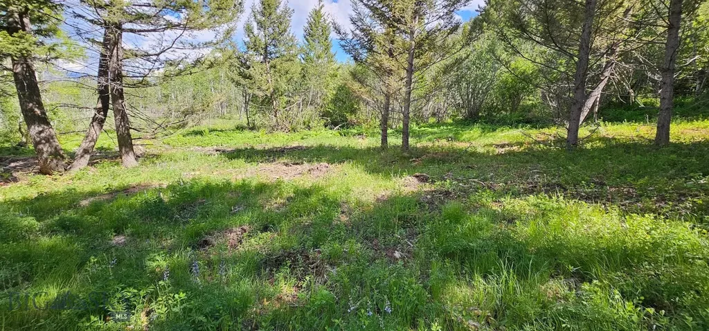 8 Tract, Hall Creek Helmville MT 59843