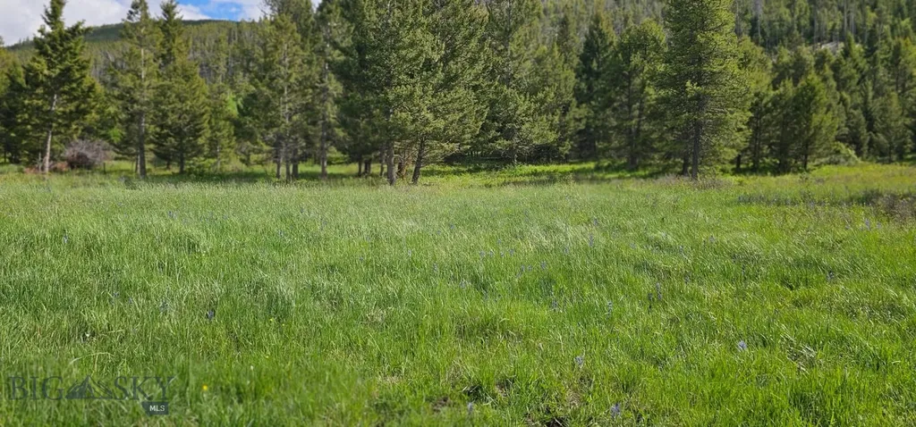 8 Tract, Hall Creek Helmville MT 59843