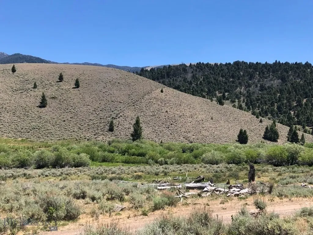 Tbd Camp Creek Road Melrose MT 59743