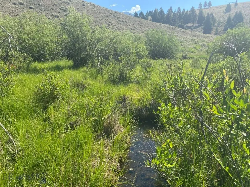 Tbd Camp Creek Road Melrose MT 59743