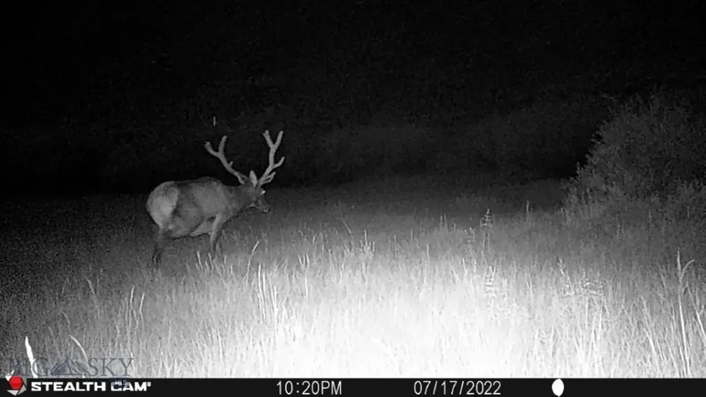 Tbd Camp Creek Road Melrose MT 59743