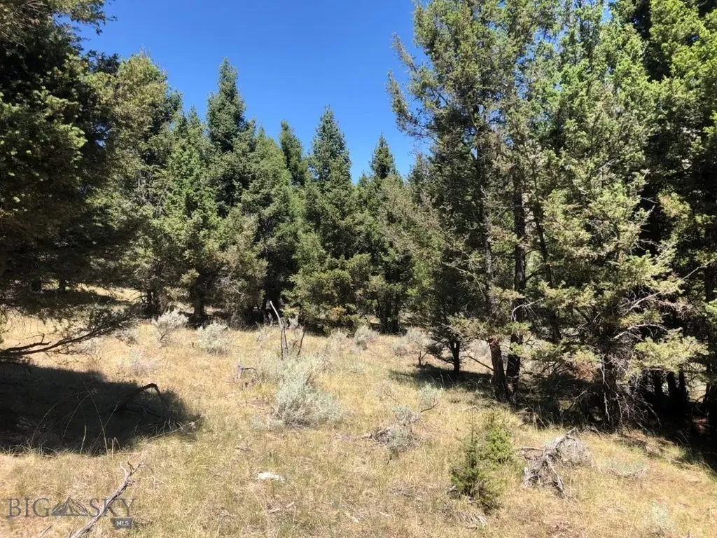 Tbd Camp Creek Road Melrose MT 59743