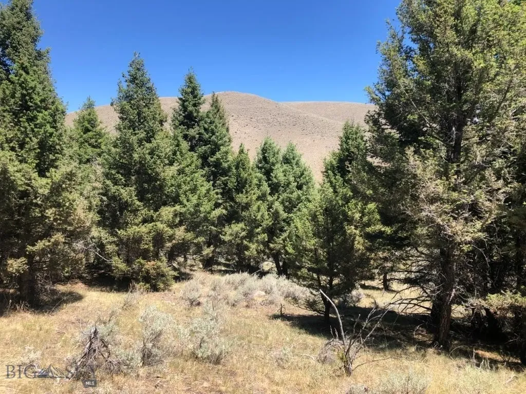 Tbd Camp Creek Road Melrose MT 59743