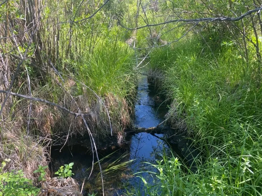 Tbd Camp Creek Road Melrose MT 59743