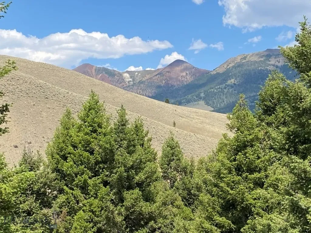 Tbd Camp Creek Road Melrose MT 59743