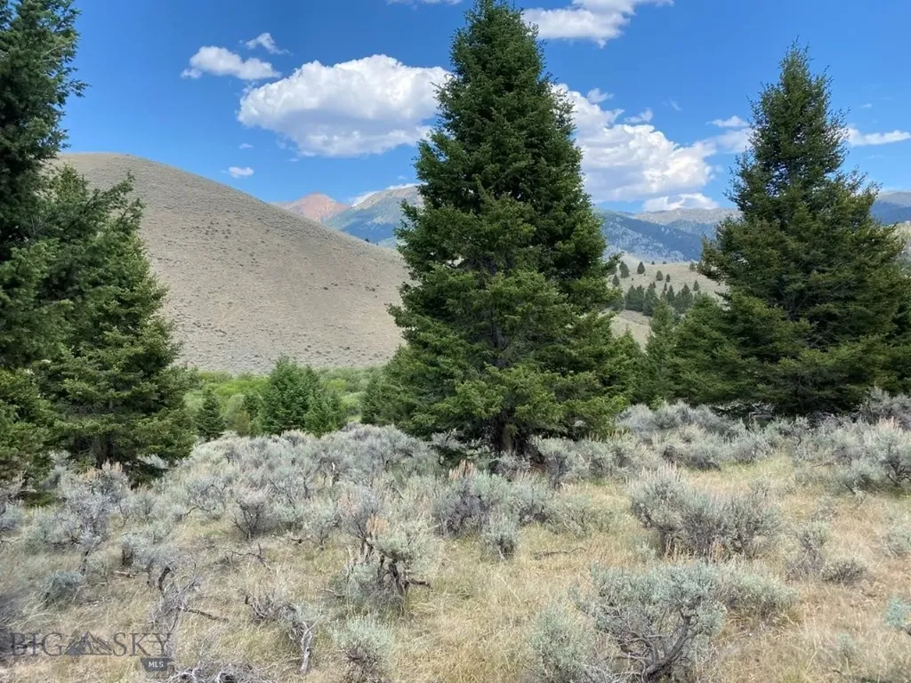 Tbd Camp Creek Road Melrose MT 59743