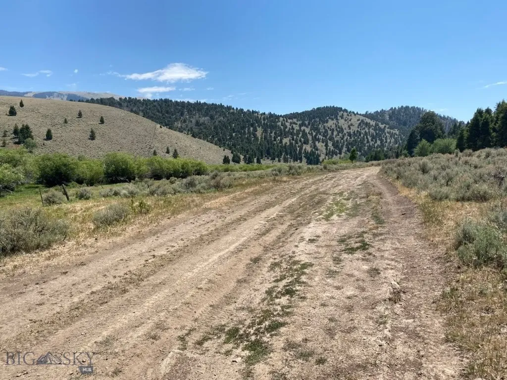 Tbd Camp Creek Road Melrose MT 59743