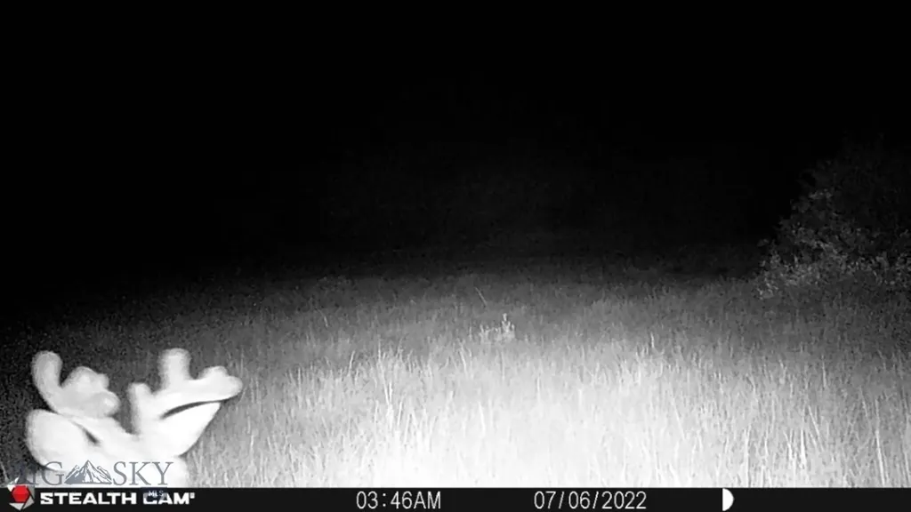 Tbd Camp Creek Road Melrose MT 59743