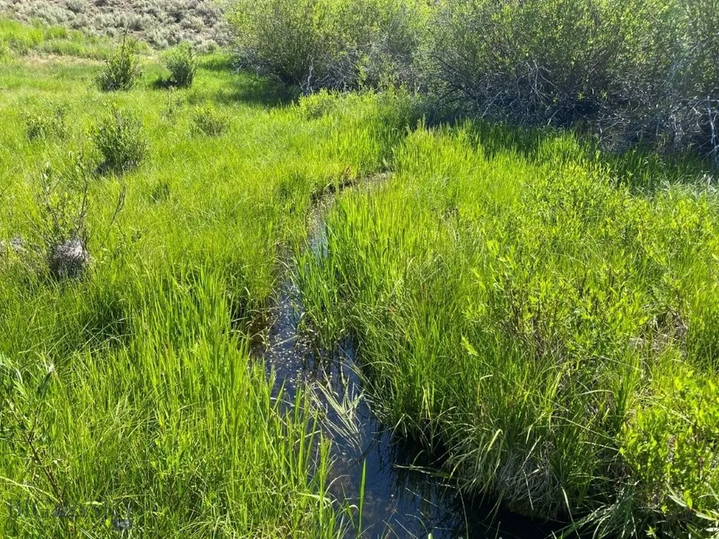 Tbd Camp Creek Road Melrose MT 59743
