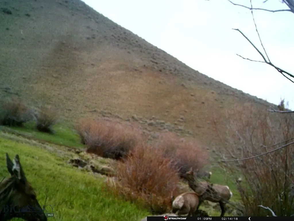 Tbd Camp Creek Road Melrose MT 59743