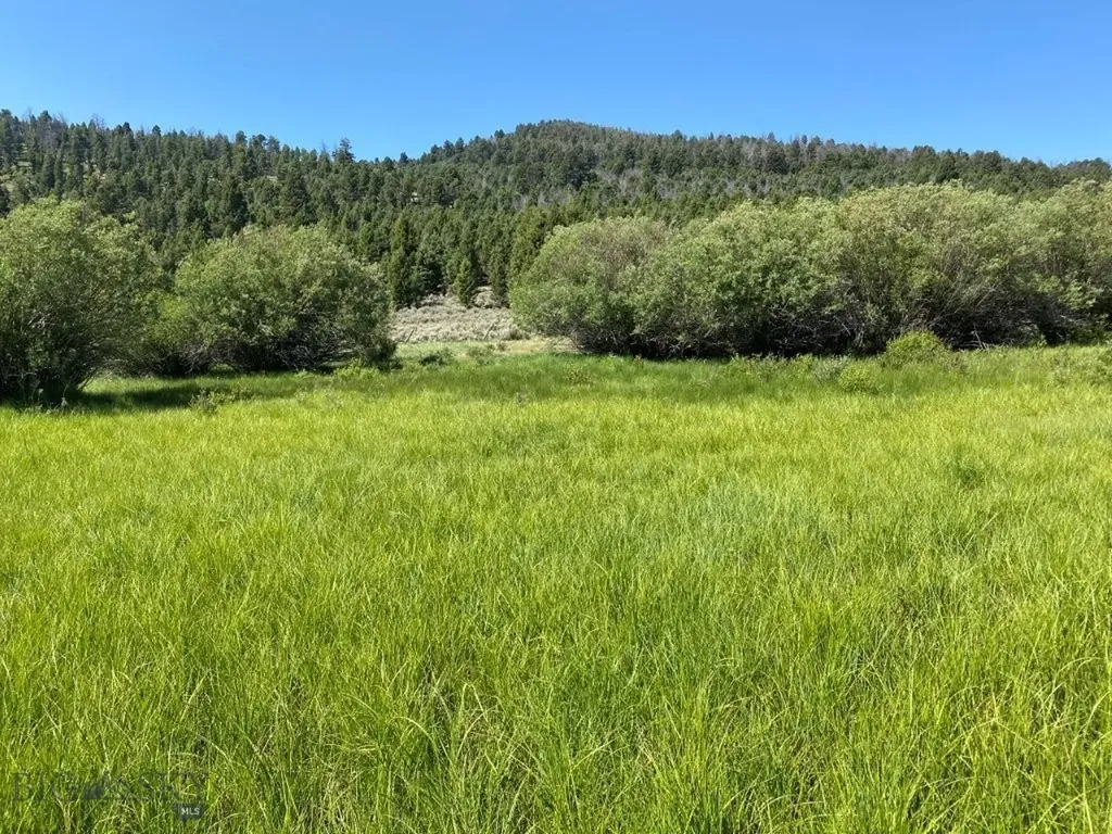 Tbd Camp Creek Road Melrose MT 59743