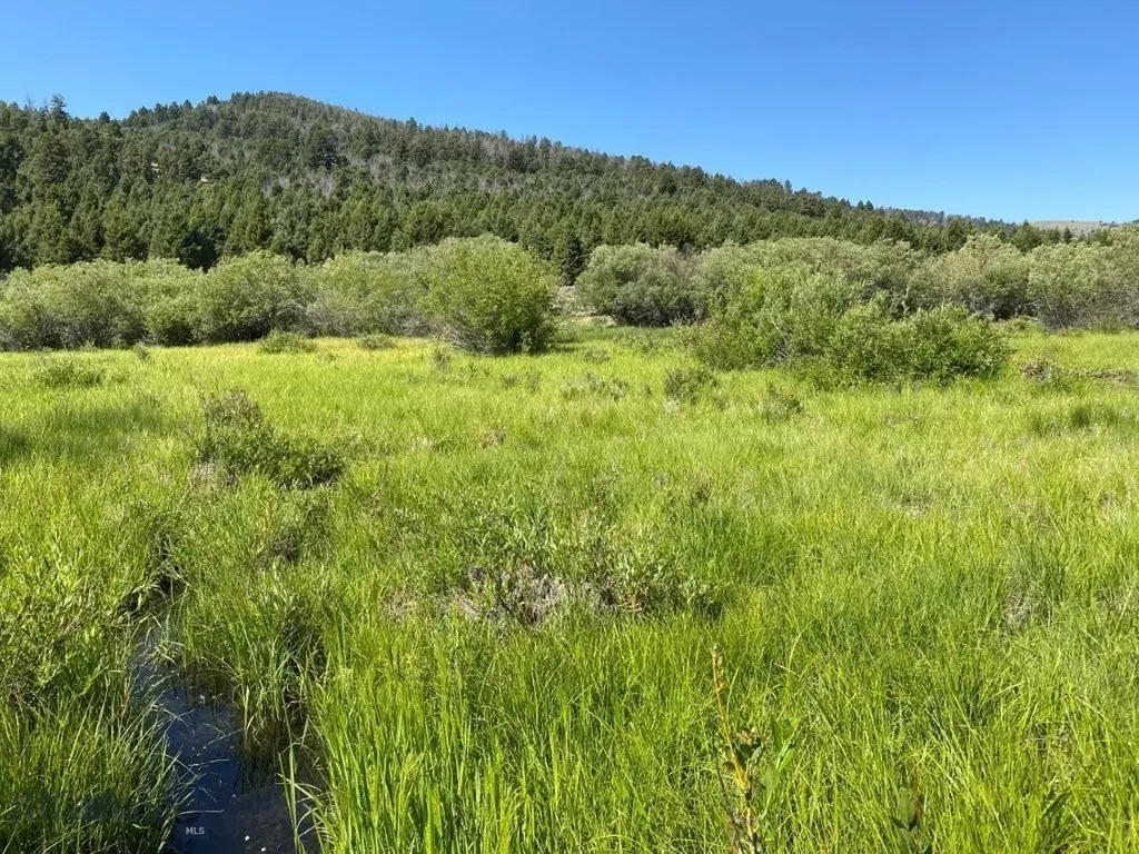 Tbd Camp Creek Road Melrose MT 59743