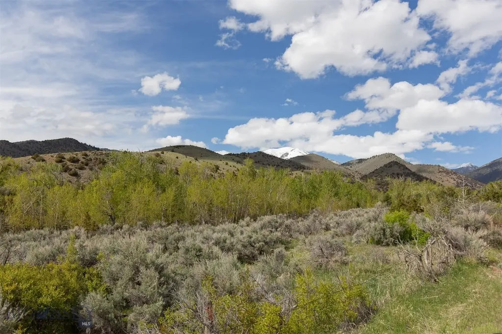 9 Booth Gulch Lane Sheridan MT 59749