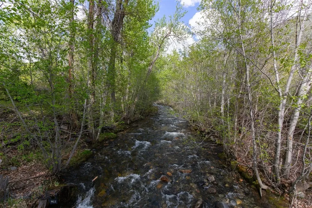 9 Booth Gulch Lane Sheridan MT 59749