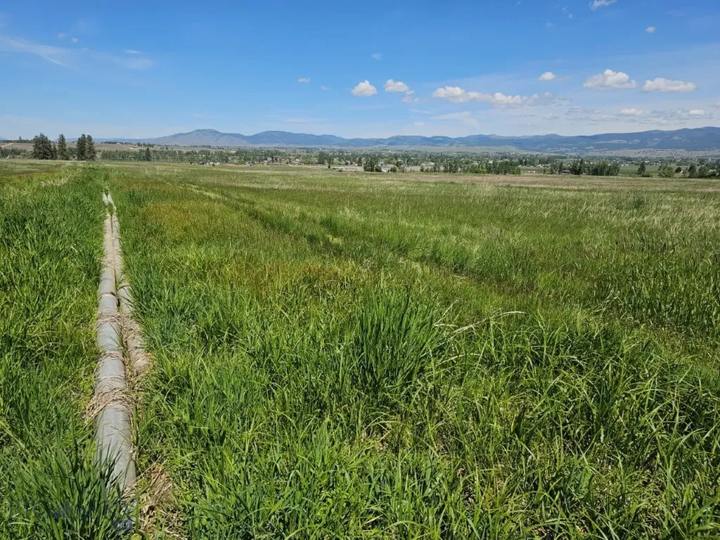 Tbd Illinois Bench Road Stevensville MT 59870