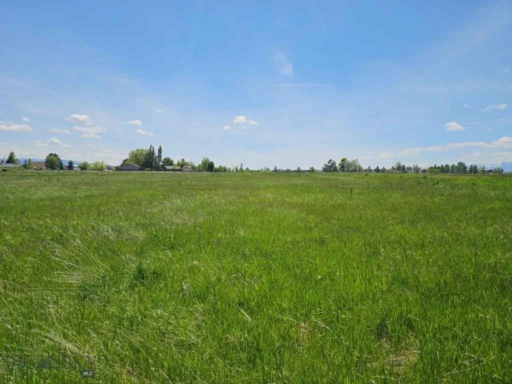 Tbd Illinois Bench Road Stevensville MT 59870