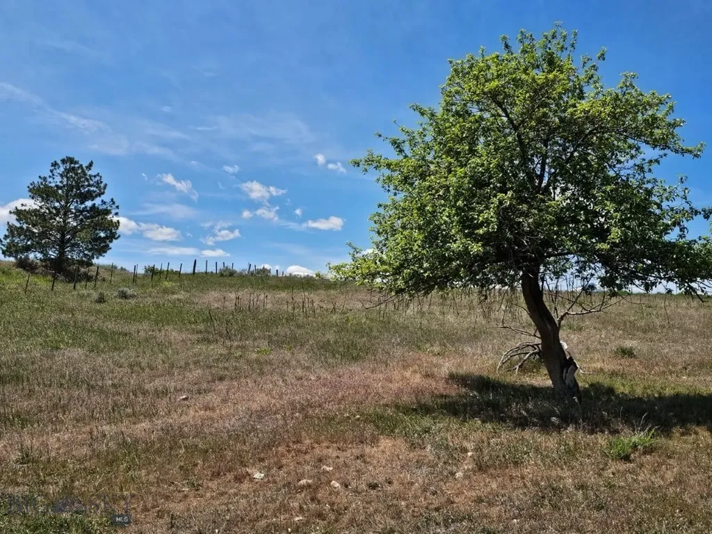 Tbd Illinois Bench Road Stevensville MT 59870