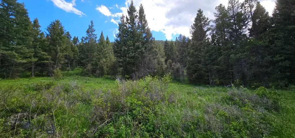 11 Tract, Hall Creek Helmville MT 59843