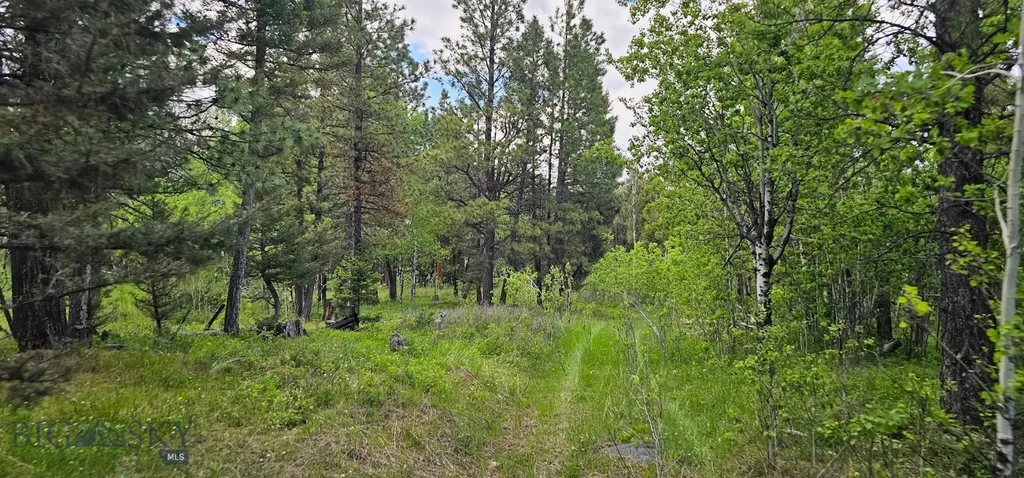 11 Tract, Hall Creek Helmville MT 59843