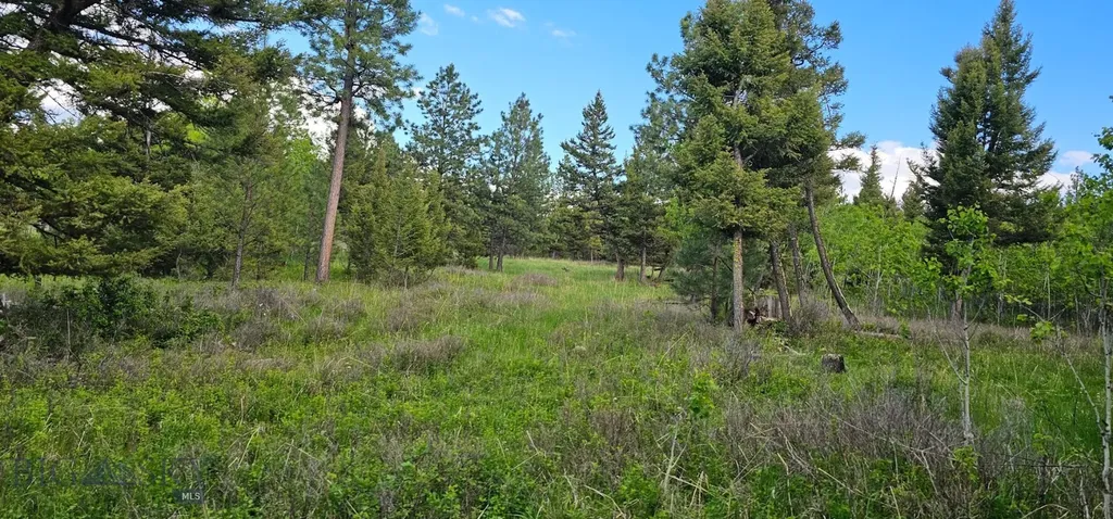 11 Tract, Hall Creek Helmville MT 59843